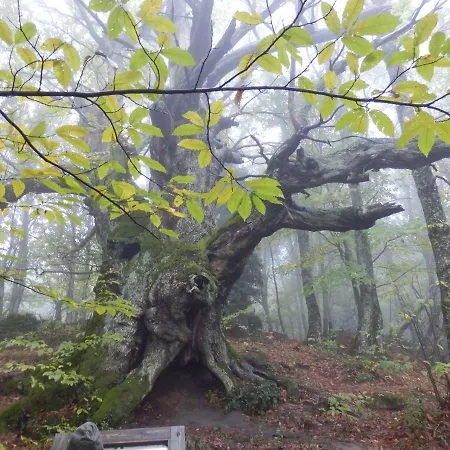 Picaza Del Jerte בית כפרי קבסואלה דל ואיה