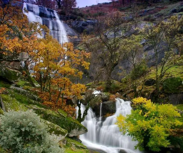 Picaza Del Jerte Lantställe Cabezuela Del Valle