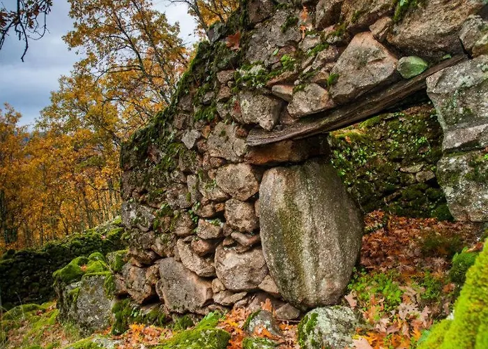 Casa rural Picaza Del Jerte *