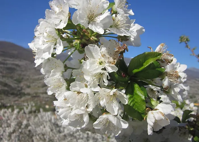 Casa rural Picaza Del Jerte Cabezuela Del Valle