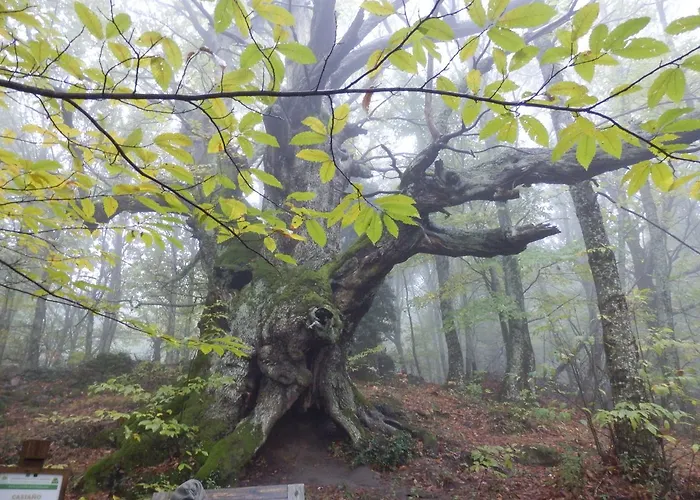 Picaza Del Jerte Casa rural Cabezuela Del Valle
